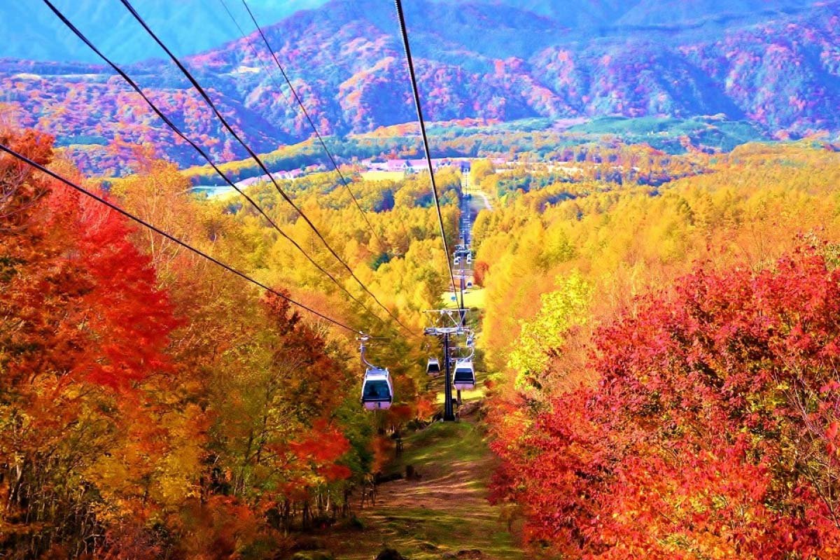 🏂 헌터 마운틴 시오바라 이미지 6